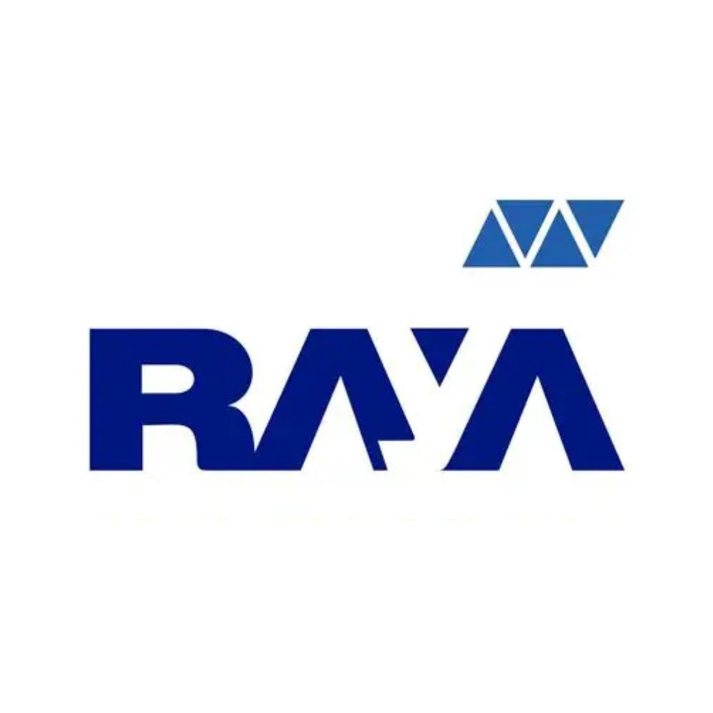 Raya Electronics
