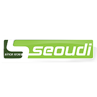 Seoudi